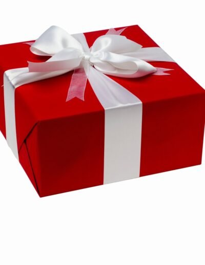 Christmas Gift Box